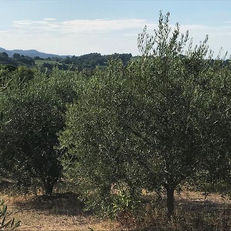 Gite Au Coeur Du Pays Cathare Verzeille Exterior foto